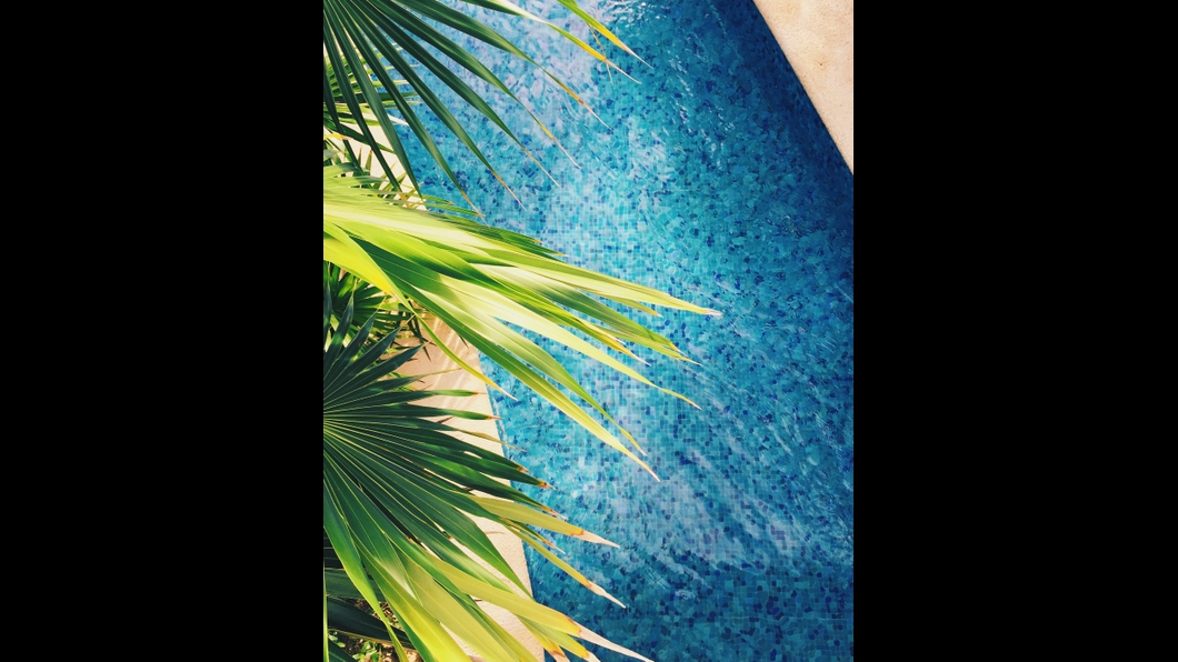 Luna Pool Service project